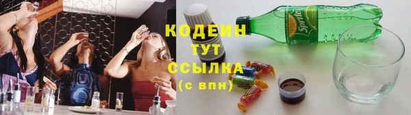 шишки Абаза