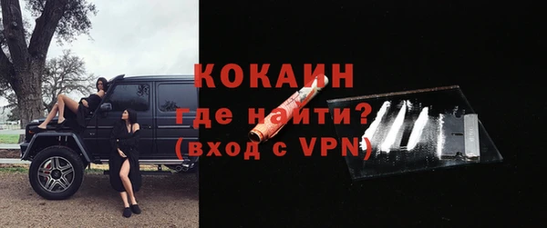 шишки Абаза