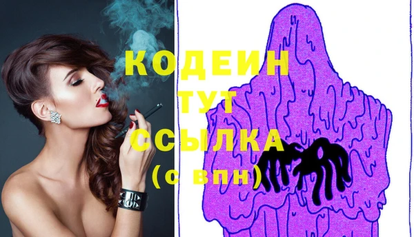 шишки Абаза