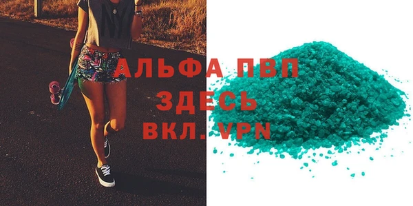 шишки Абаза