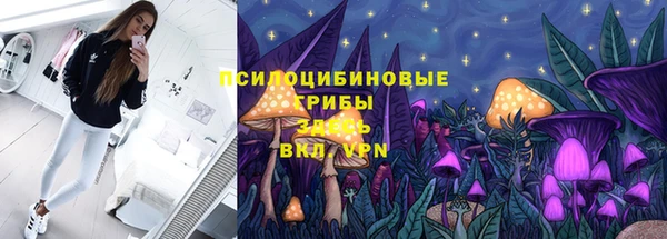 PSILOCYBIN Абинск