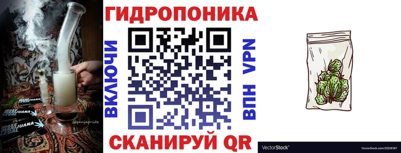 Шишки марихуана план наркота Чулым